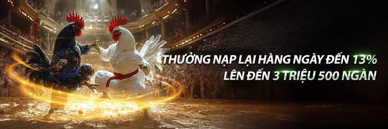 Đá Gà Thomo 15/7 Trận 32 – Trải nghiệm cá cược trực tuyến tại Sumvip Club